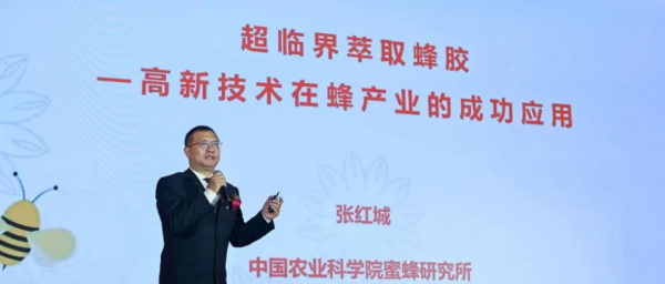 1717638085145081.jpg 640 (4).jpg